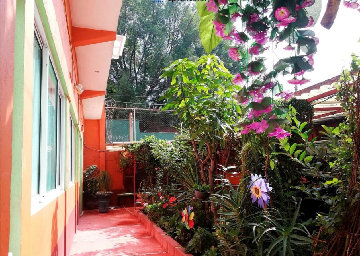 Hermoso Depa De 3 Recamaras Y 2 Banos En El Centro De Coyoacan Lägenhet Mexico City Exteriör bild