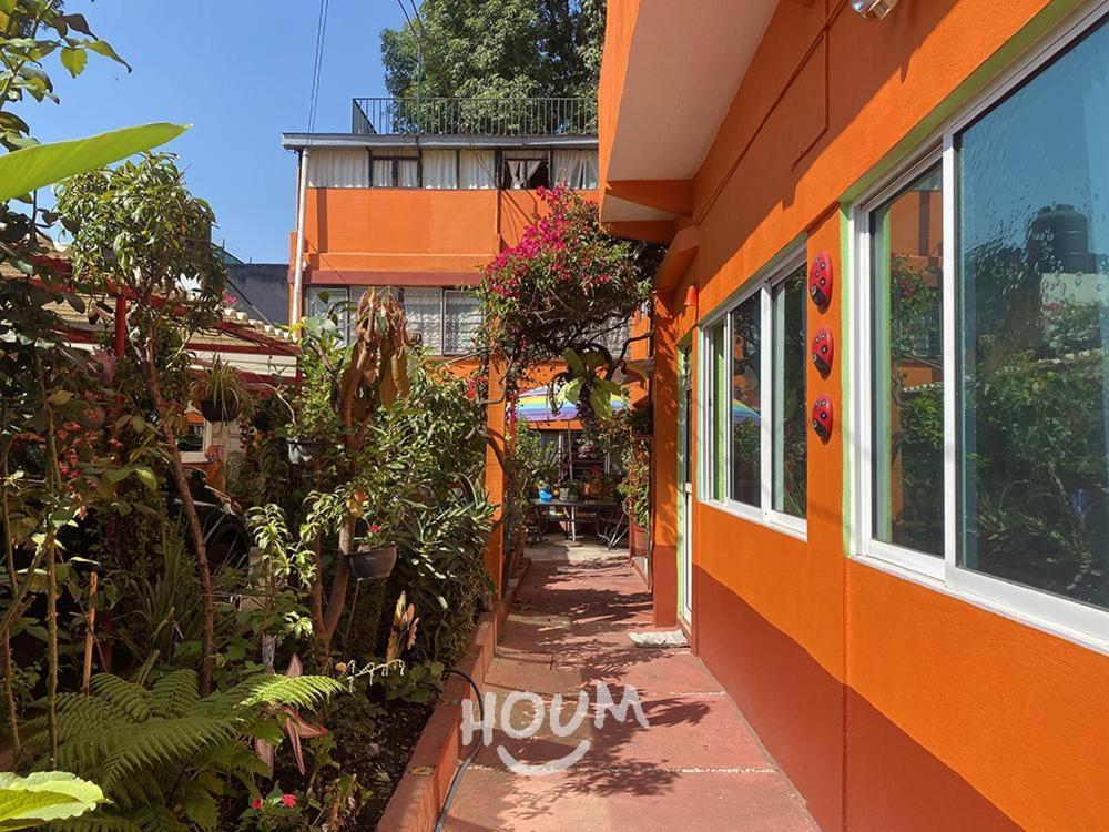 Hermoso Depa De 3 Recamaras Y 2 Banos En El Centro De Coyoacan Lägenhet Mexico City Exteriör bild